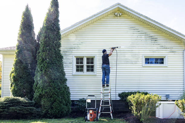 Best Local Pressure Washing Services  in Taylor, AZ